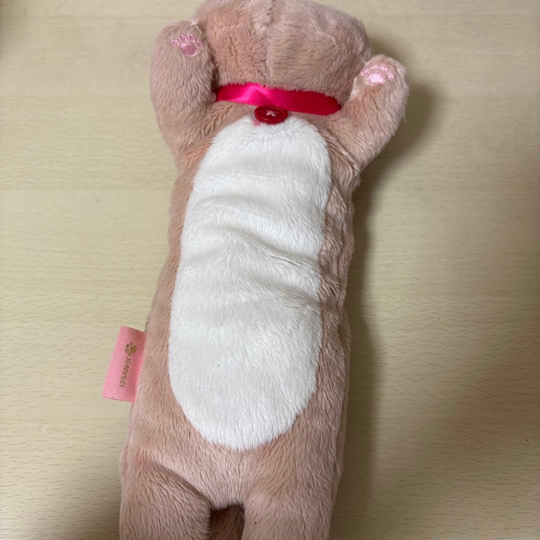 しぃにゃん