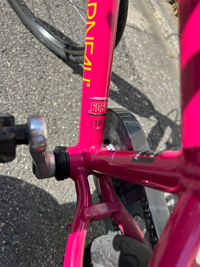 直接お引渡し【LOUIS GARNEAU】こども自転車