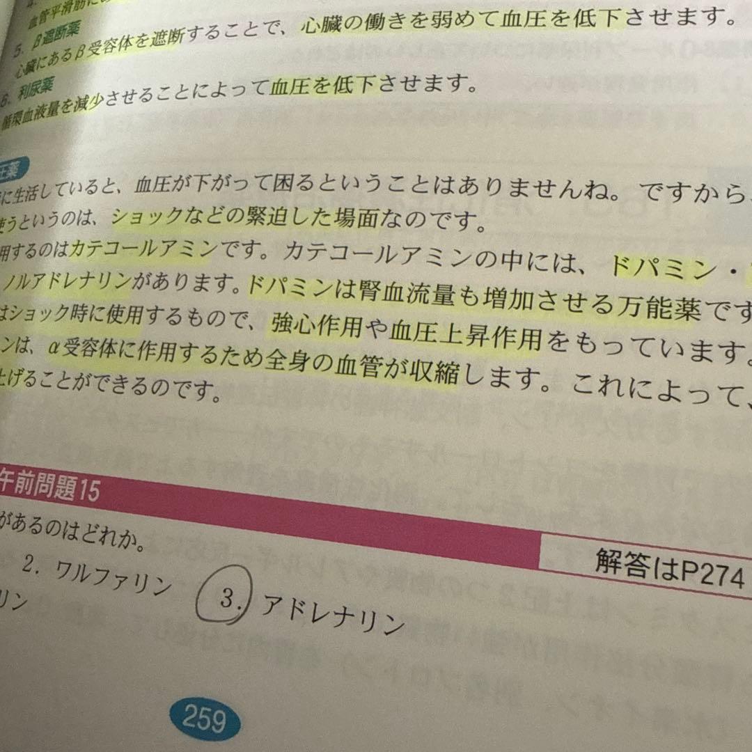 2025さわ研究所黒本/赤本/解剖ノート