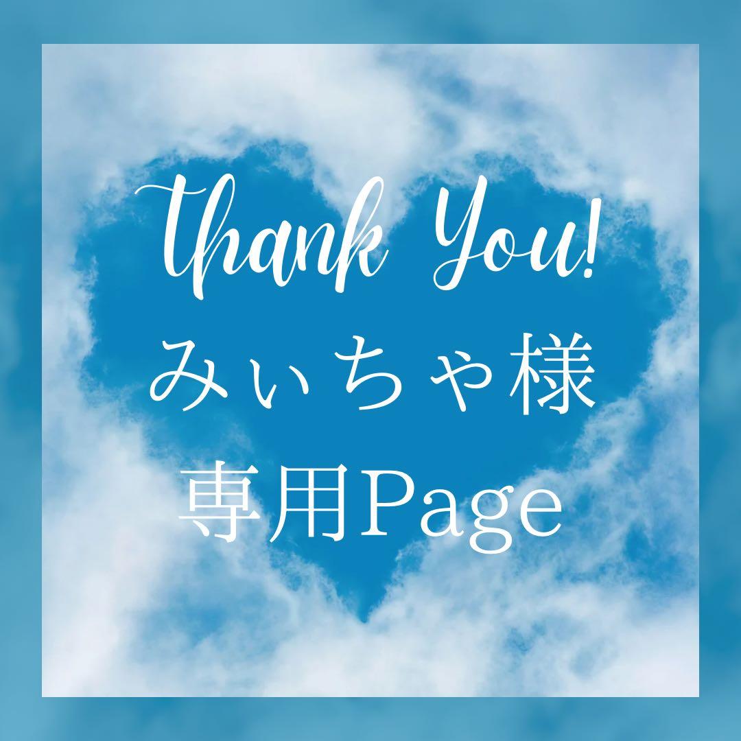 みぃちゃ様＊専用　ありがとうございます＊.