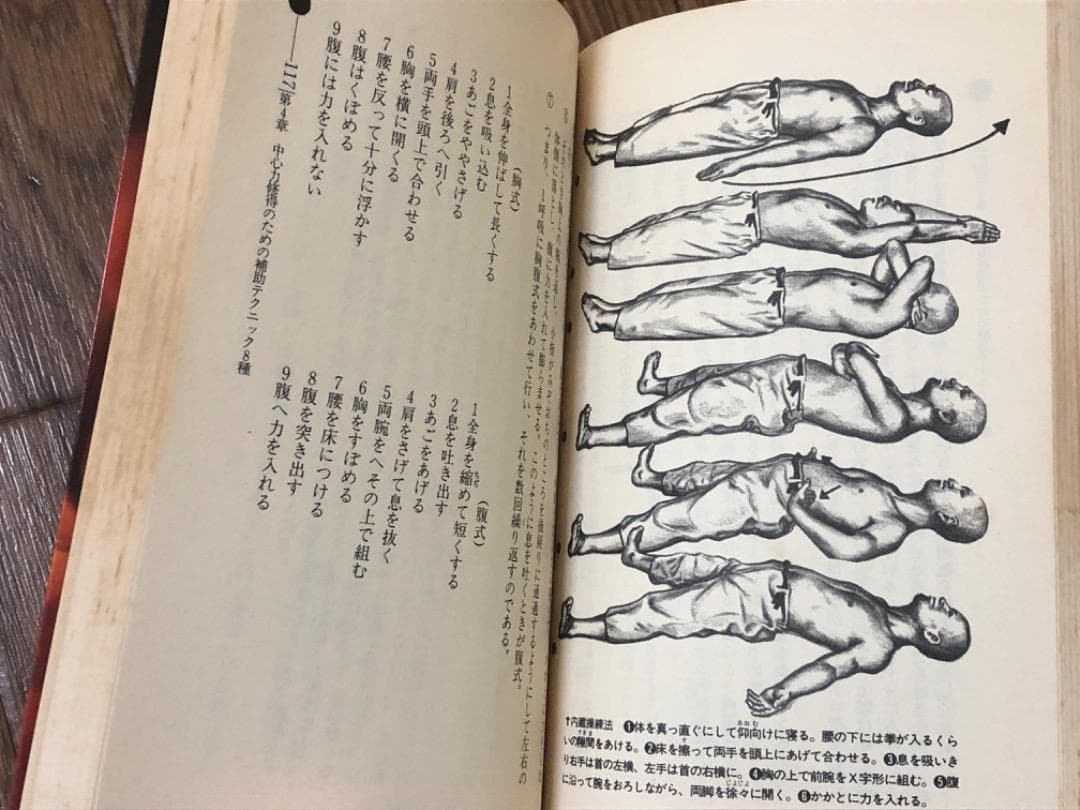 中心力を究める! 肥田式強健術2 【匿名配送】