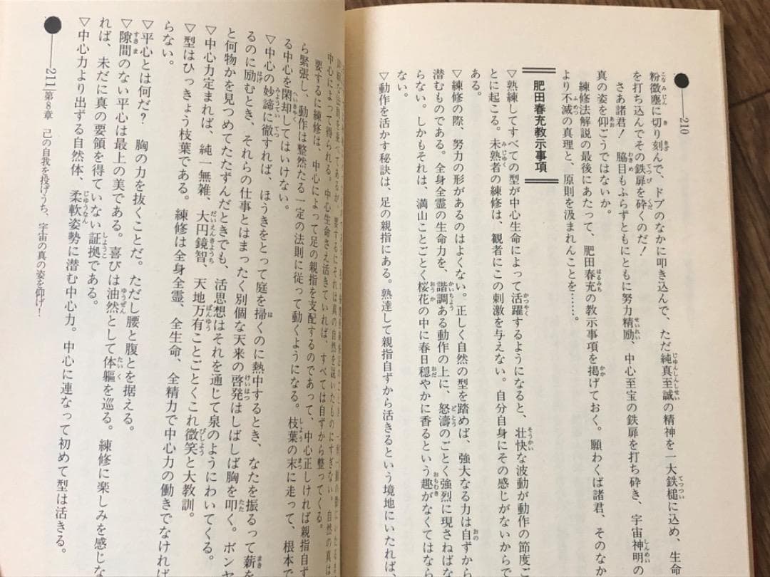 中心力を究める! 肥田式強健術2 【匿名配送】