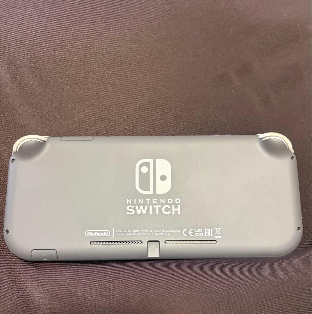 Nintendo Switch Lite グレー 充電器、おまけ付き