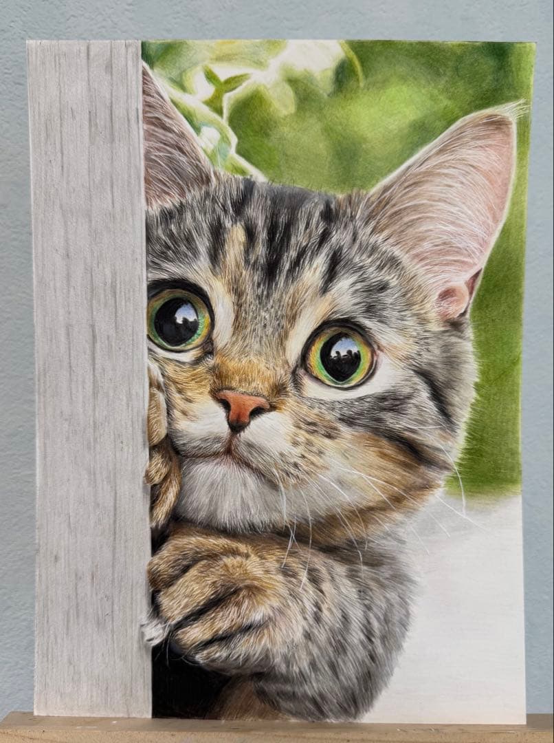 色鉛筆画　B5サイズ　額縁付き　猫