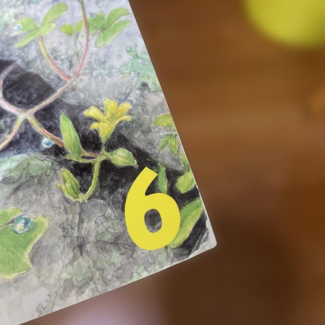 絵本セット 5冊
