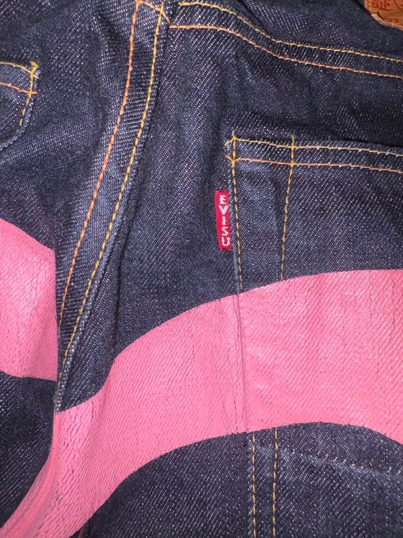 EVISU 2000 No.2 ピンク カモメ ビックペイント