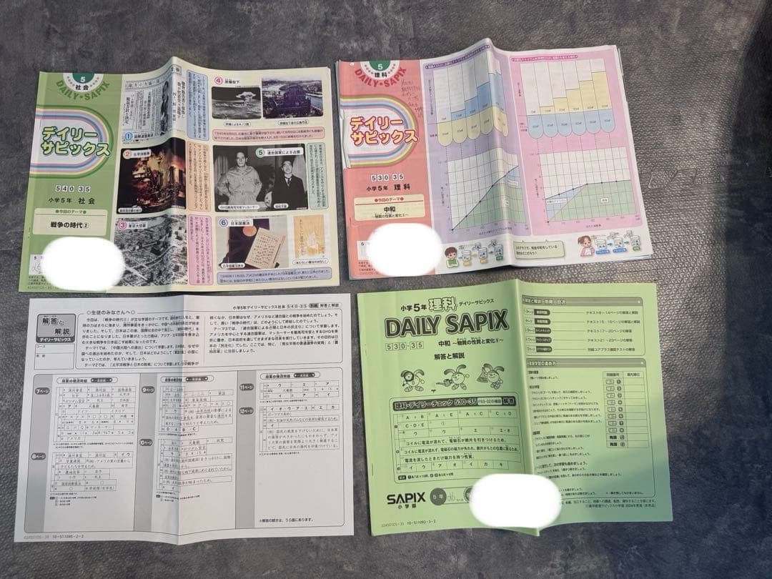 1個目SAPIXサピックス最新小学5年生2024年度一年分フルセット欠け番なし