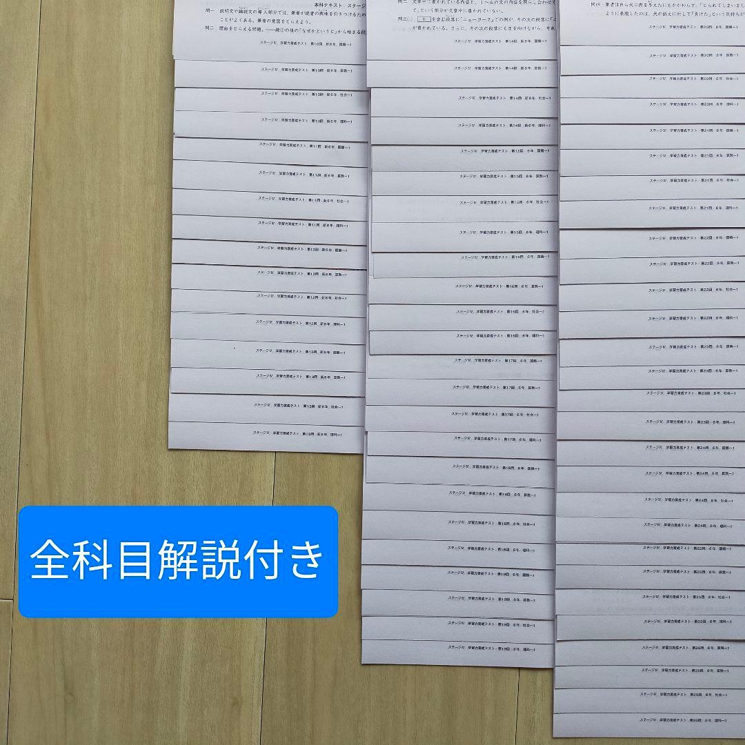 2025年度 日能研6年 学習力育成テスト　前期17回分
