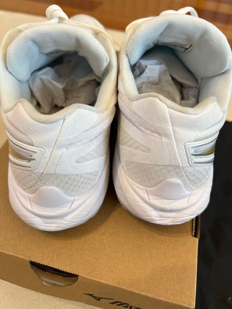 シューズ Mizuno BDSS WAVE CLAW PRO3 26.5