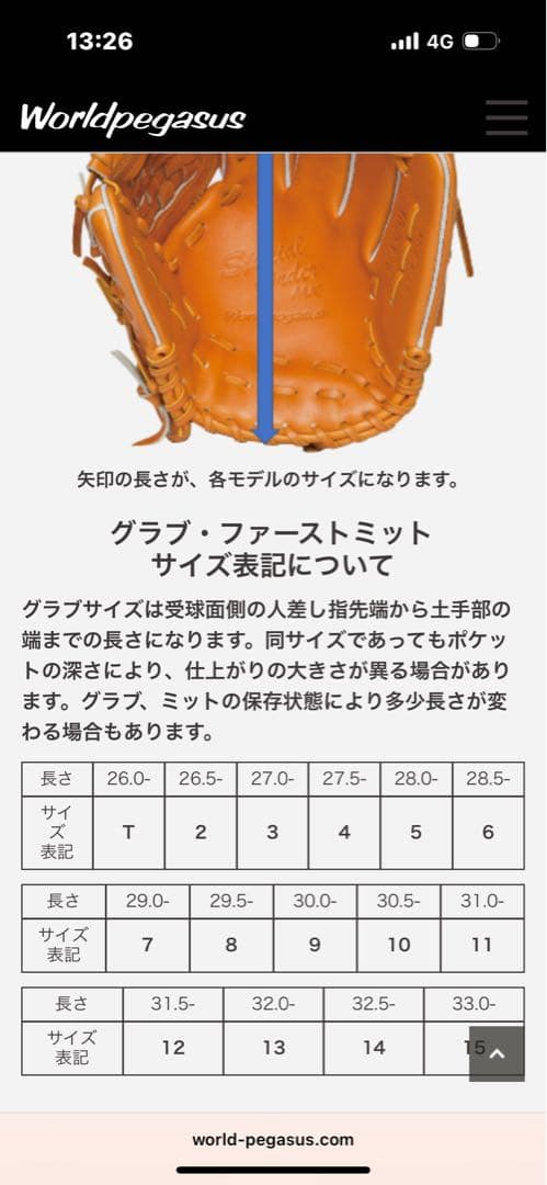WORLDPEGASUS 野球 軟式グラブ オールラウンド用 エディット