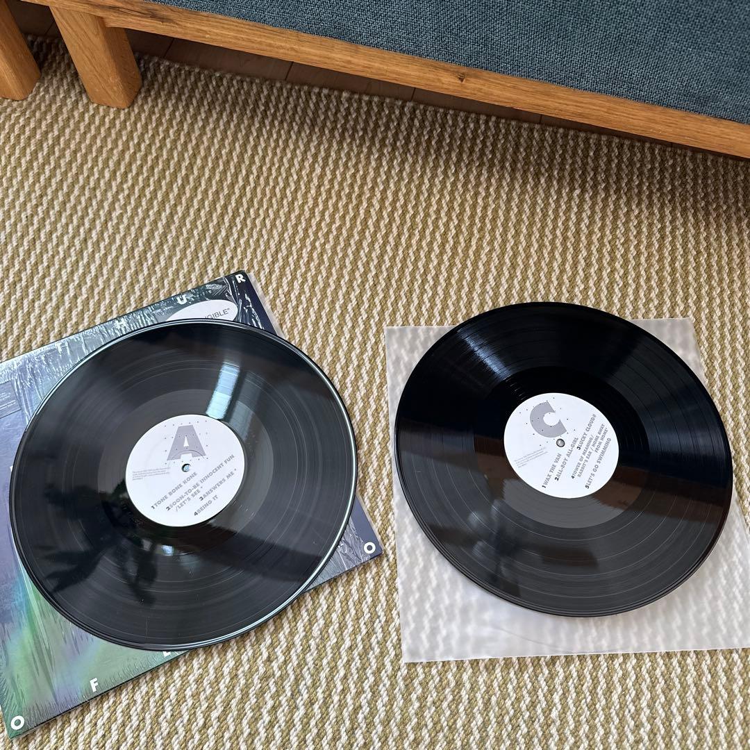 Arthur Russell World of Echo 2枚組レコード