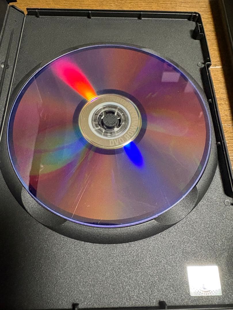 レア スウォーム 廃盤DVD 復刻シネマライブラリー パニック