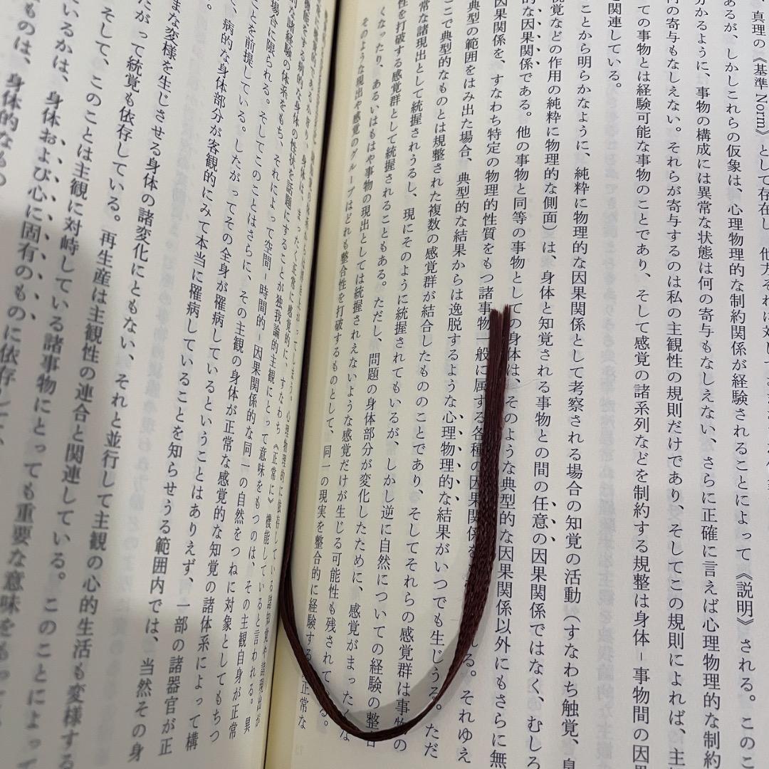イデーン 2-1 純粋現象学と現象学的哲学のための諸構想 フッサール