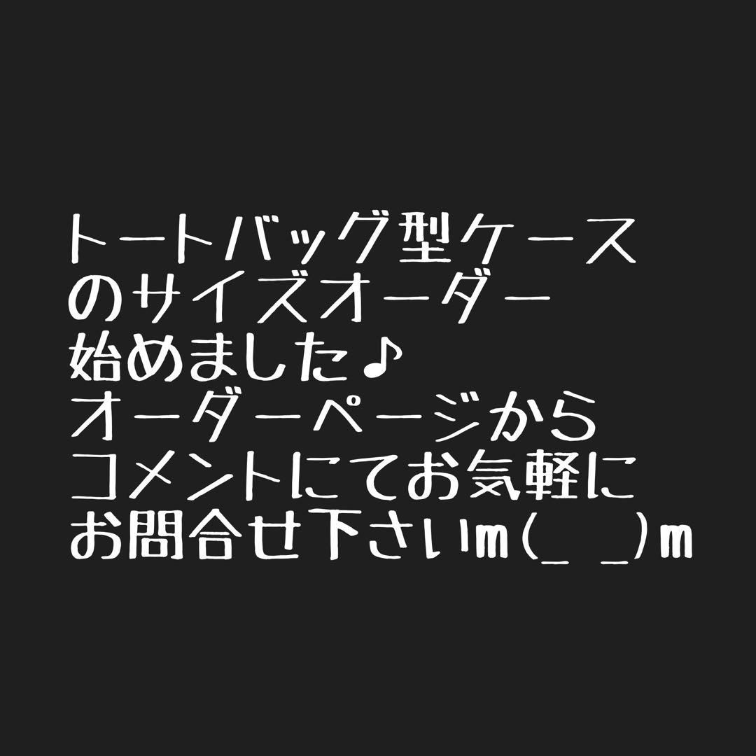 即購入OK！ZANE ARTS ゼインアーツ LADE CHAIR用ケースＥ