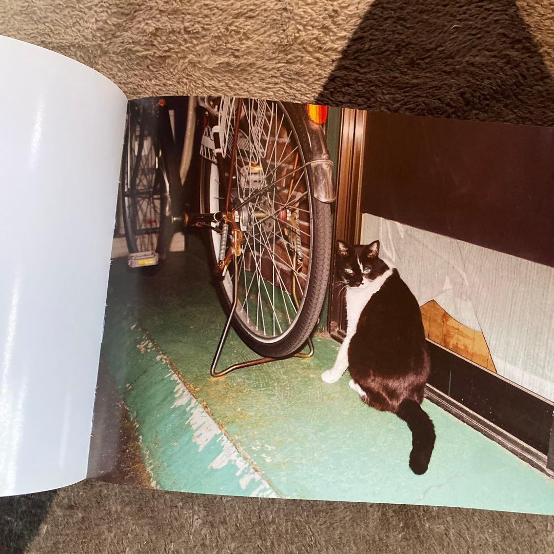 写真集