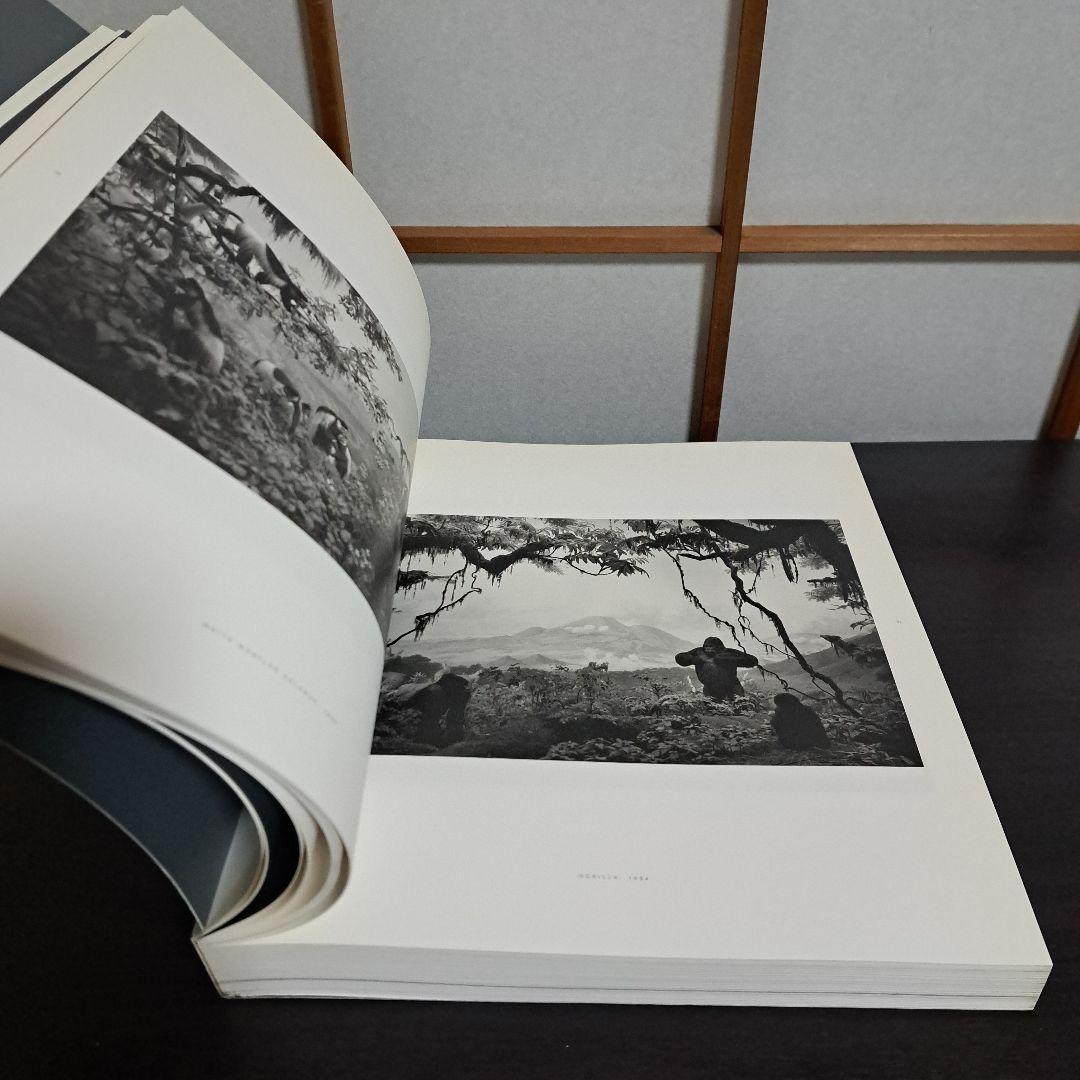 HIROSHI SUGIMOTO 杉本博司 展覧会カタログ 森美術館 2005年