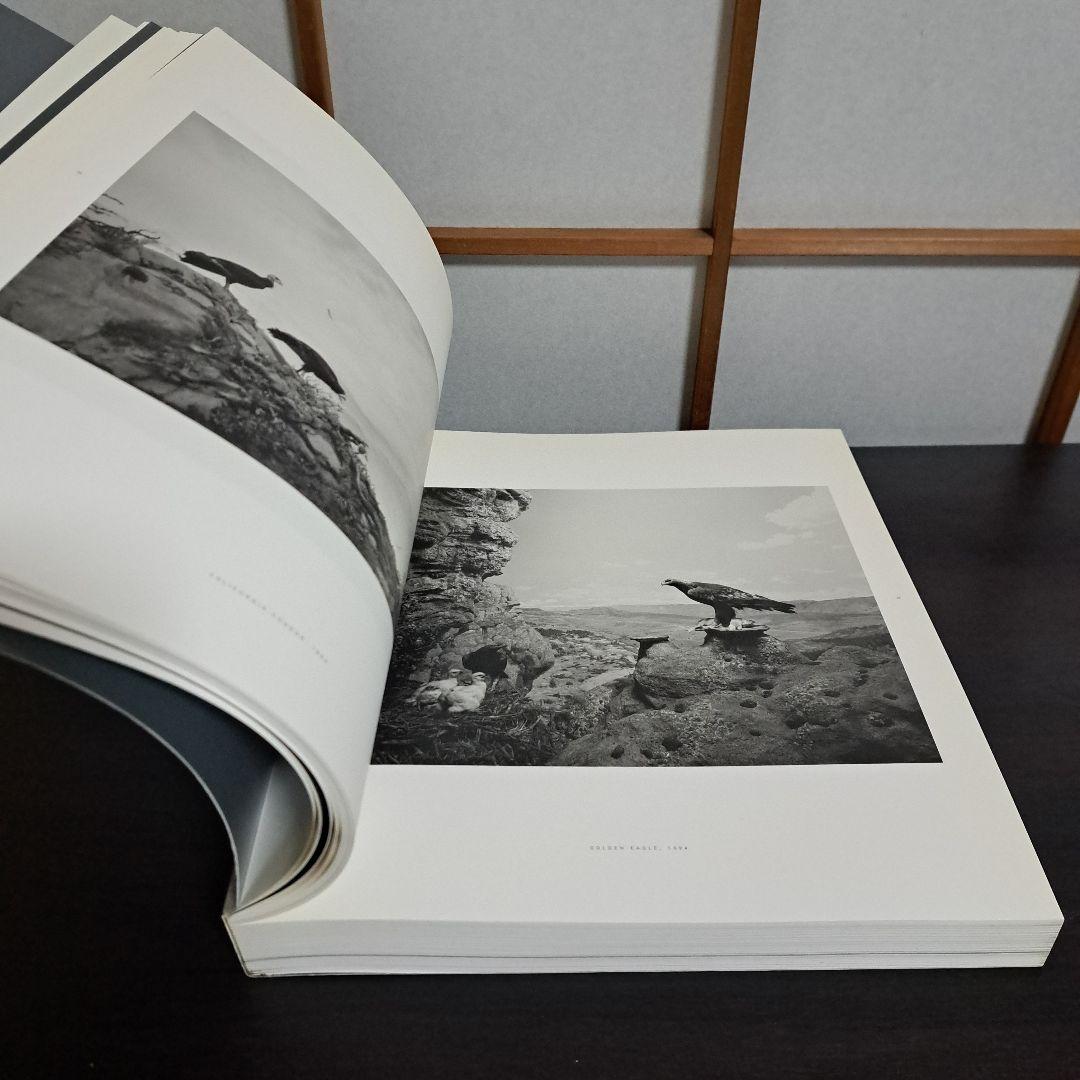 HIROSHI SUGIMOTO 杉本博司 展覧会カタログ 森美術館 2005年