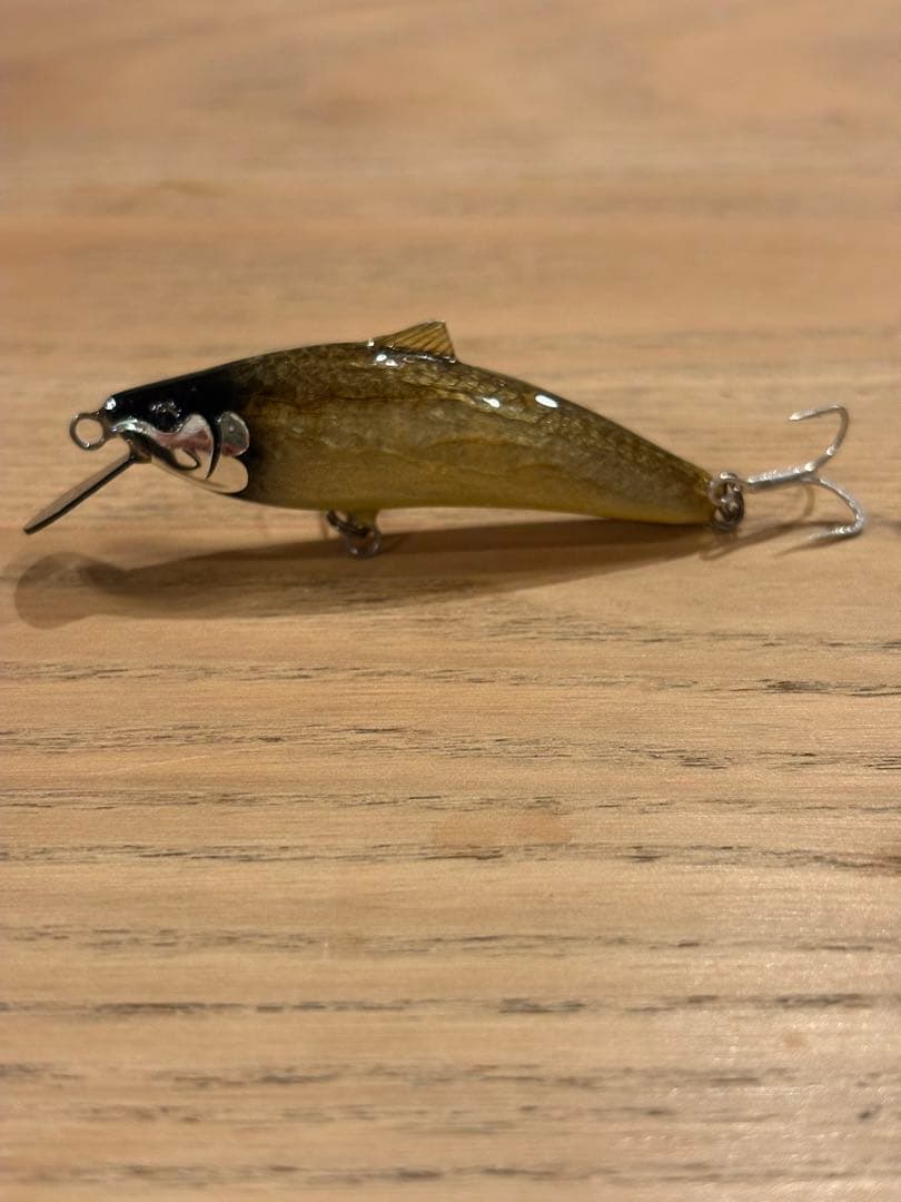 エムスリーズ工房　ハングマン　公魚剥製