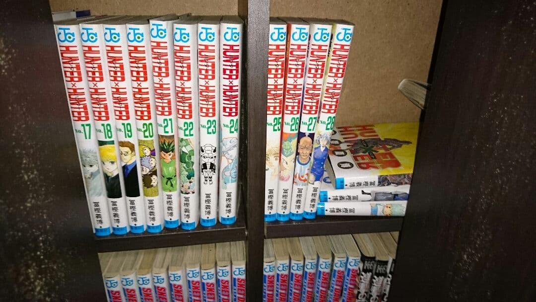 HUNTER×HUNTER
