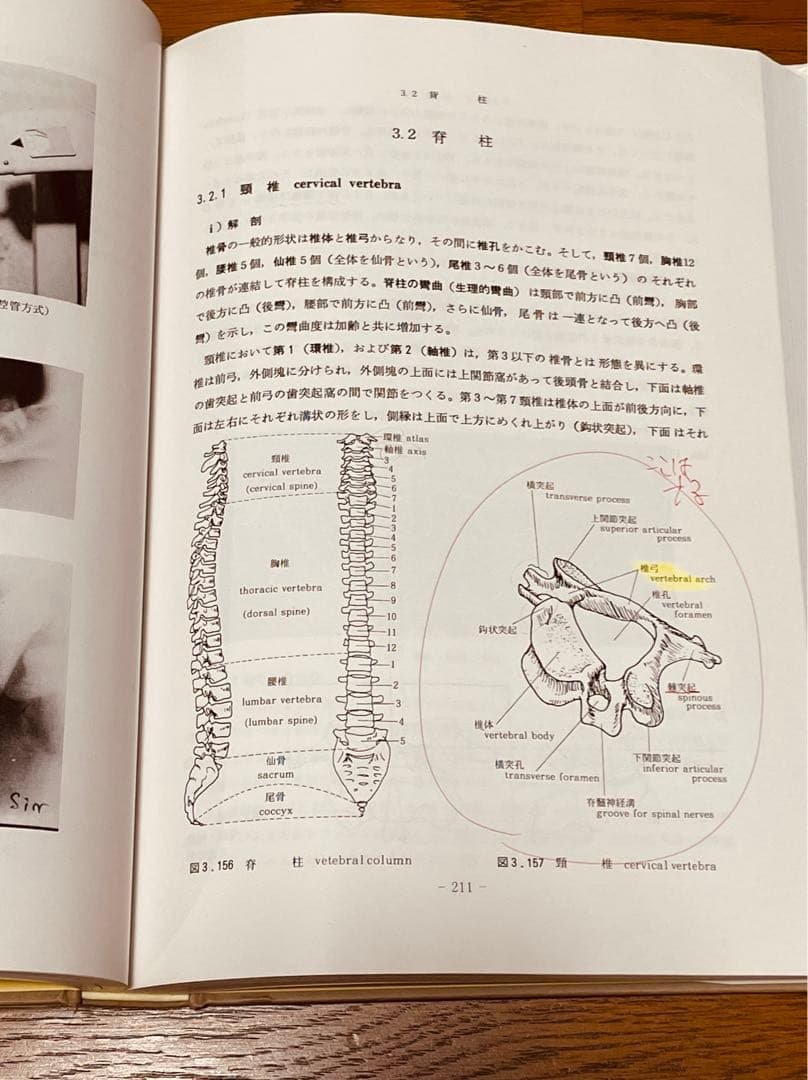 放射線検査学 X線