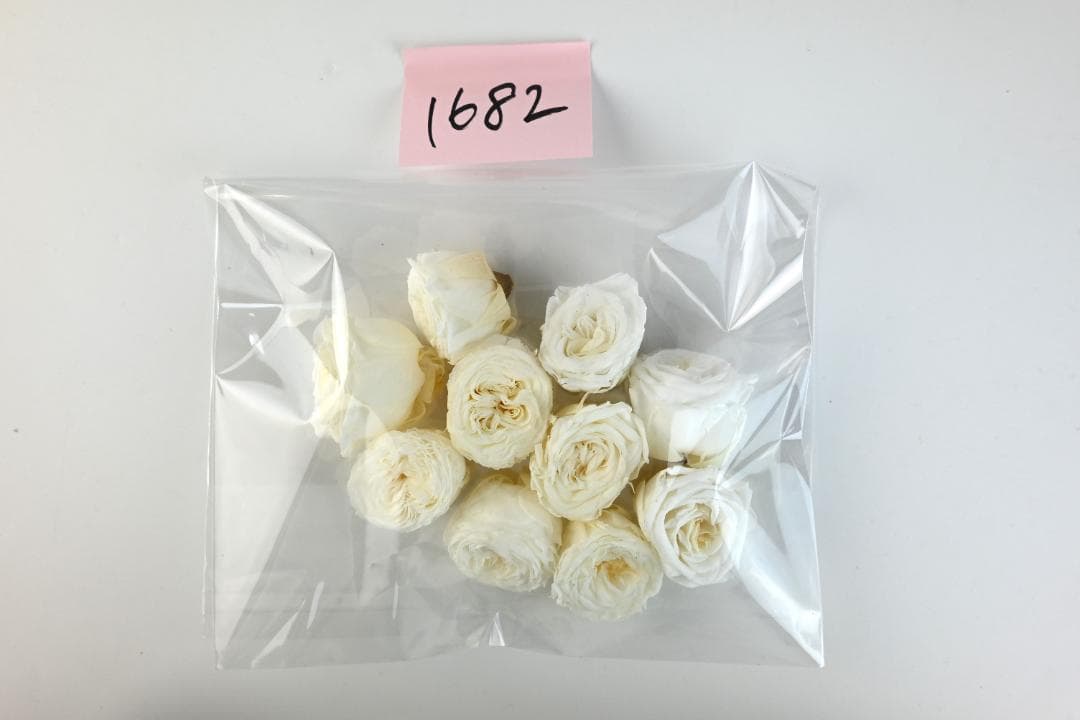 よろりん　アウトレット花材6点