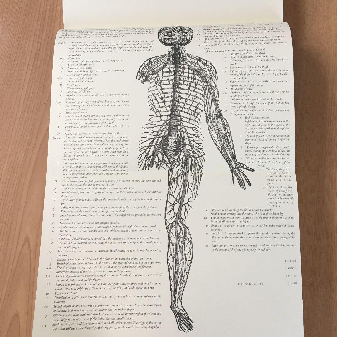 アート・デザイン・音楽 On the Fabric of the Human Body