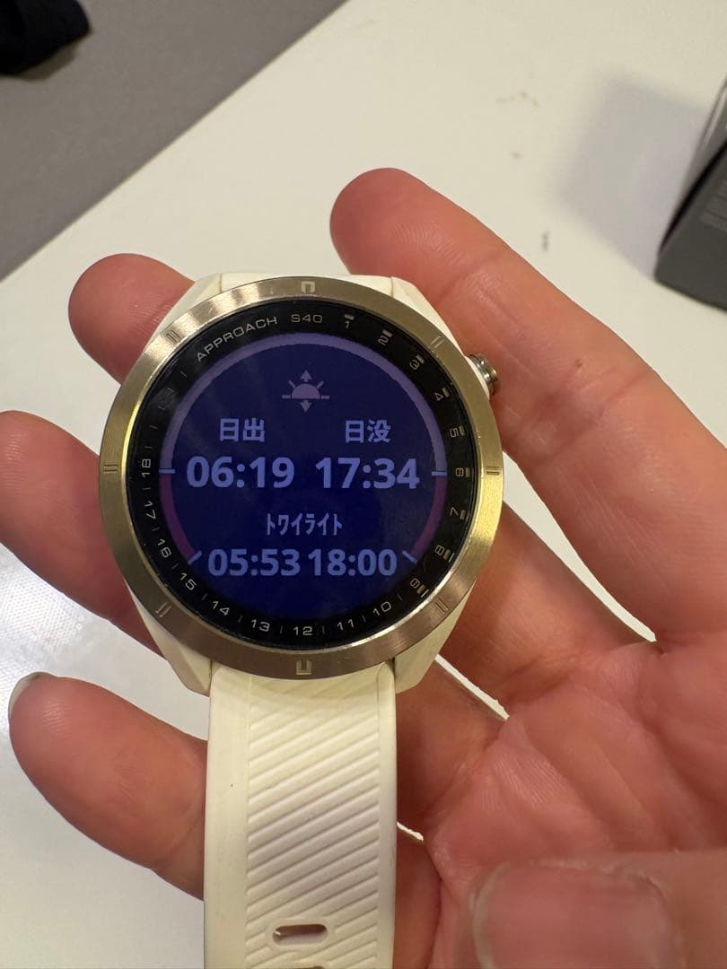 GARMIN APPROACH S40 GPSナビ