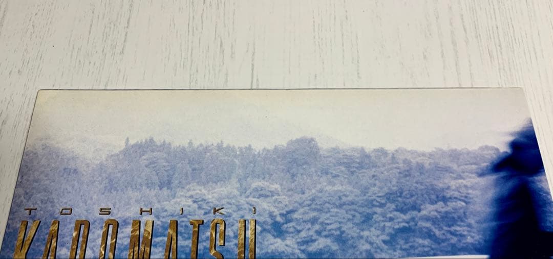 LP『REASONS FOR THOUSAND LOVERS』角松敏生