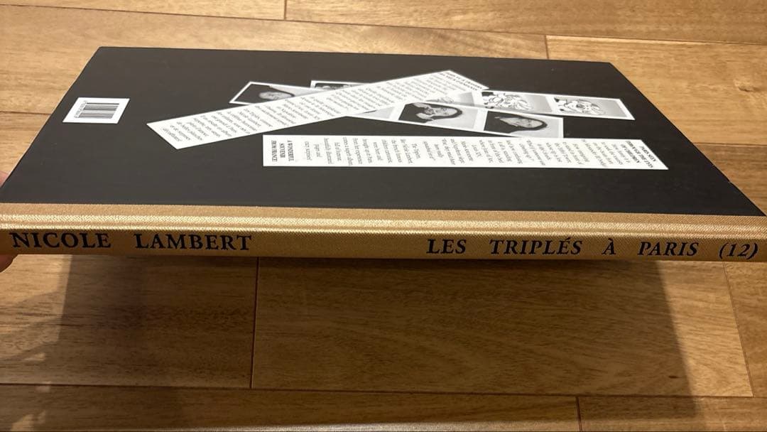 【洋書】Les Triples 　三つ子ちゃん　 フランス語版絵本　希少本　レア