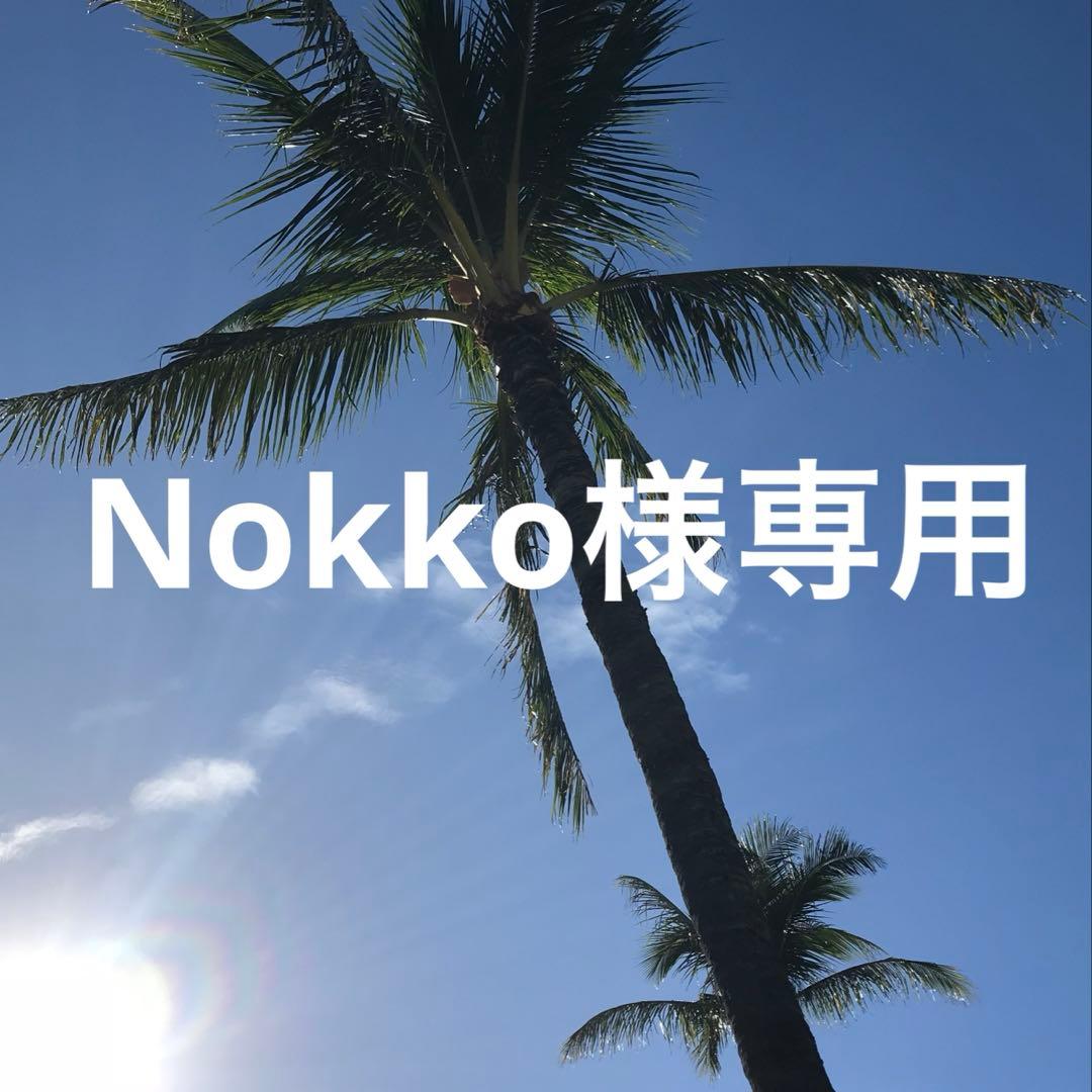 洗顔料 Nokko