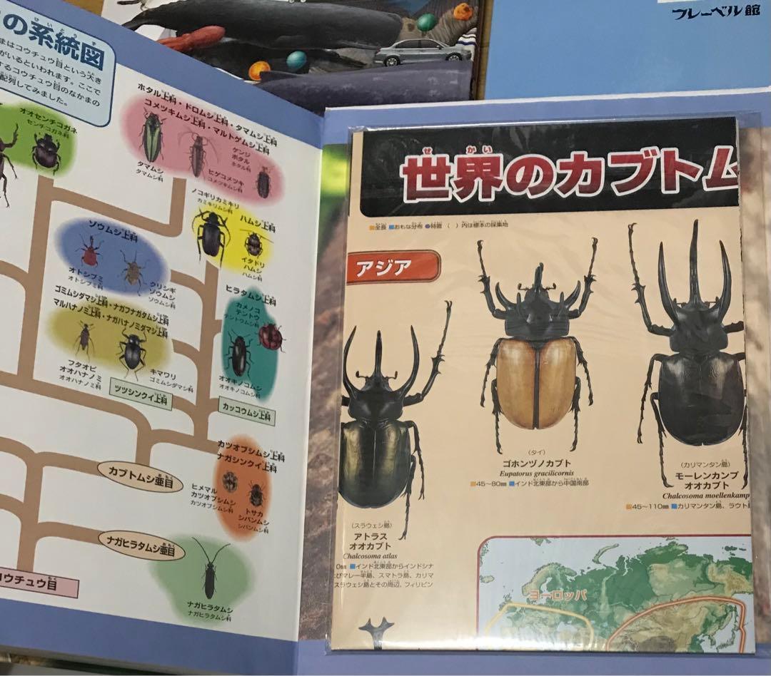 図鑑いろいろ17冊　　まとめ売り