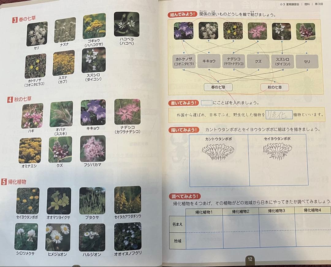 受験勉強　Compass 小3 早稲アカ 国語・理科・社会・算数 問題集