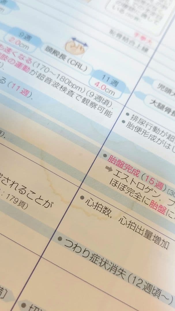 病気がみえる1〜10巻までのセット
