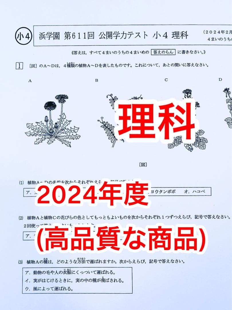 語学・辞書・学習参考書 Ishigaki