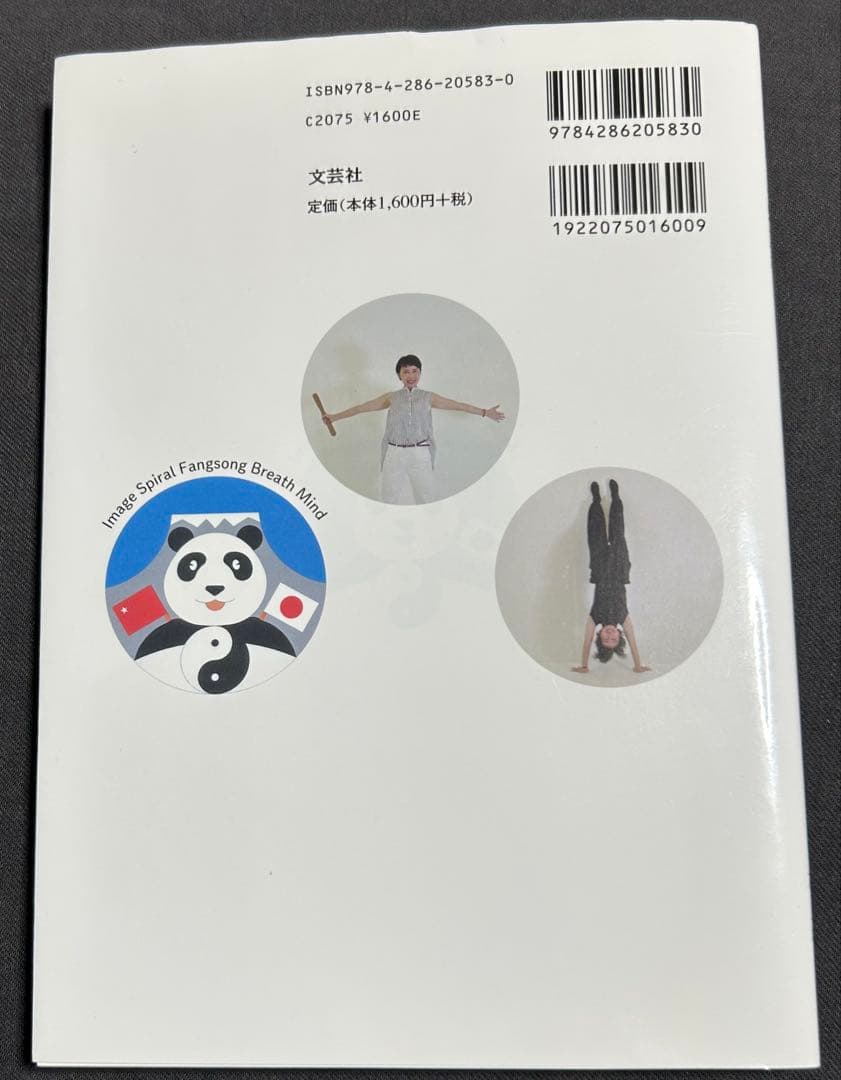 太極気功螺旋棒 元気すぎてゴメンナサイ! 林杰 陳式心意混元太極拳　馮志強