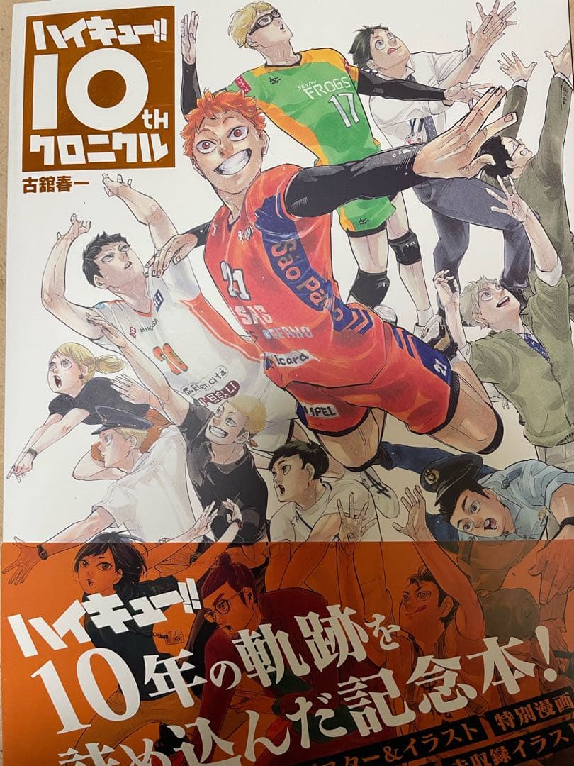 ハイキュー!! 全巻セット + 10th クロニクル