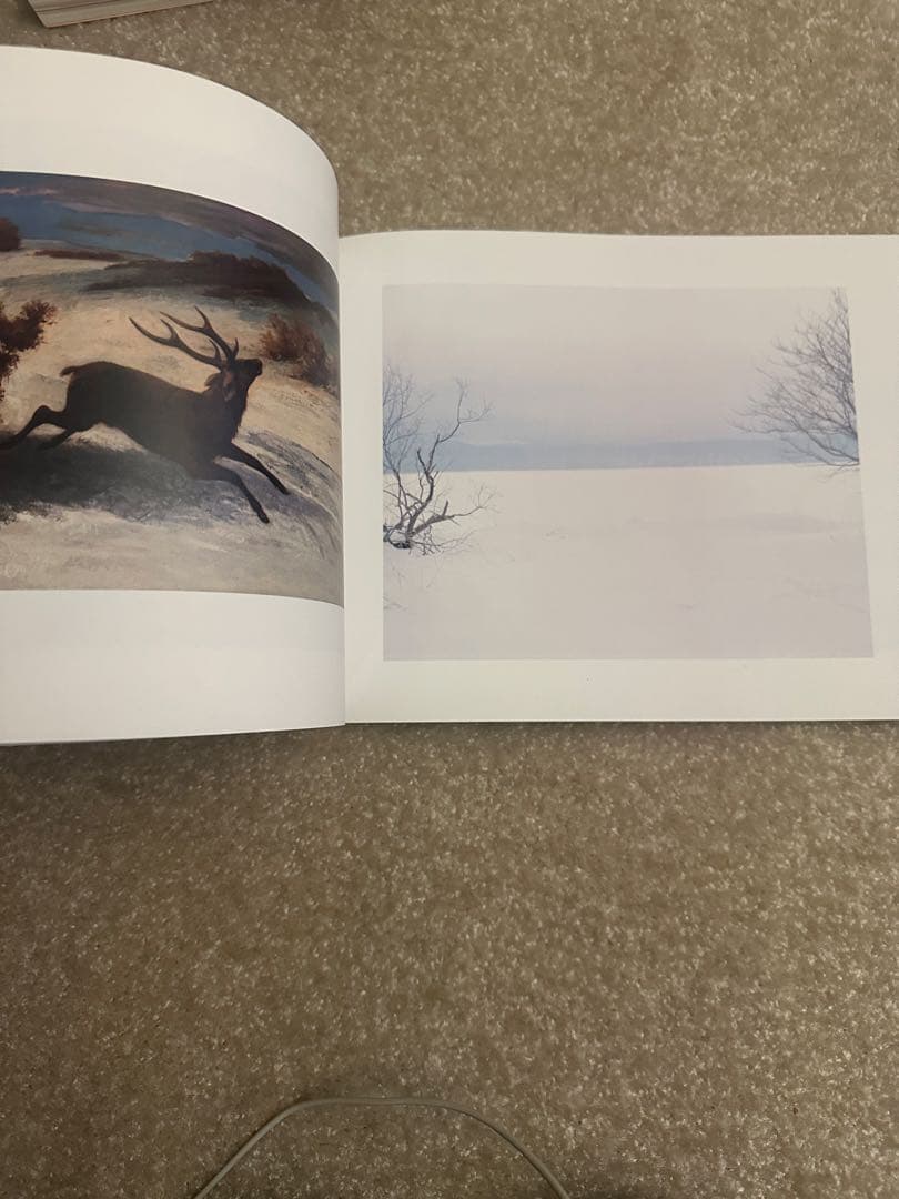 柴田敏雄×鈴木理策　写真と絵画 セザンヌより