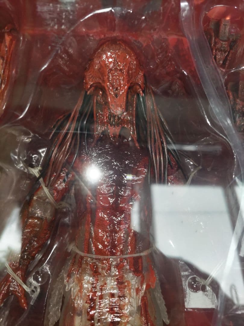 o*o様 NECA ネカ　フィアラルプレデター　ベアーブラッド