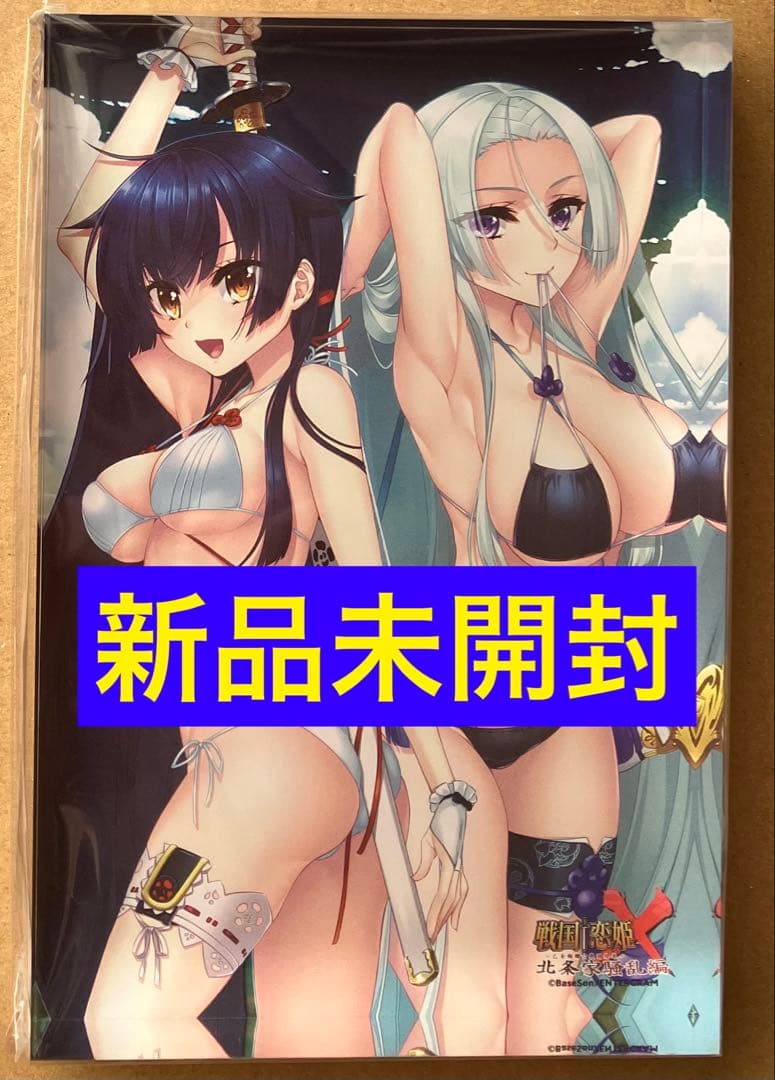 520 戦国恋姫X 乙女絢爛☆戦国絵巻 北条家騒乱編 完全生産限定版 スイッチ①