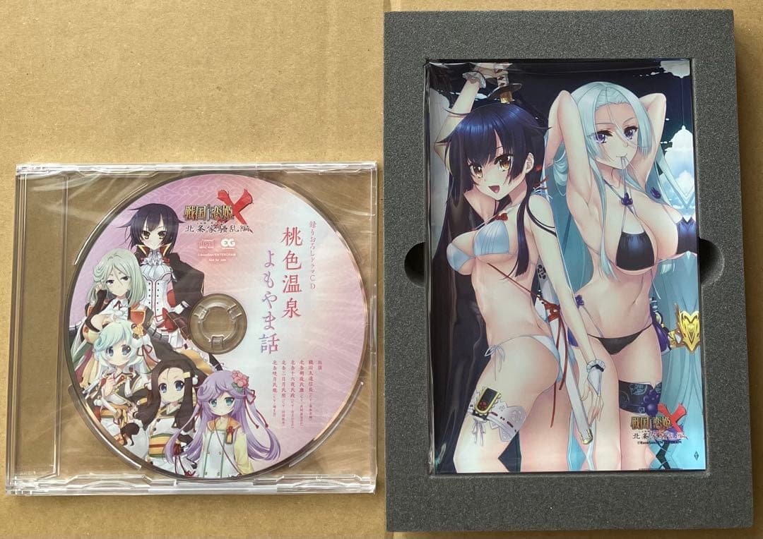 520 戦国恋姫X 乙女絢爛☆戦国絵巻 北条家騒乱編 完全生産限定版 スイッチ①