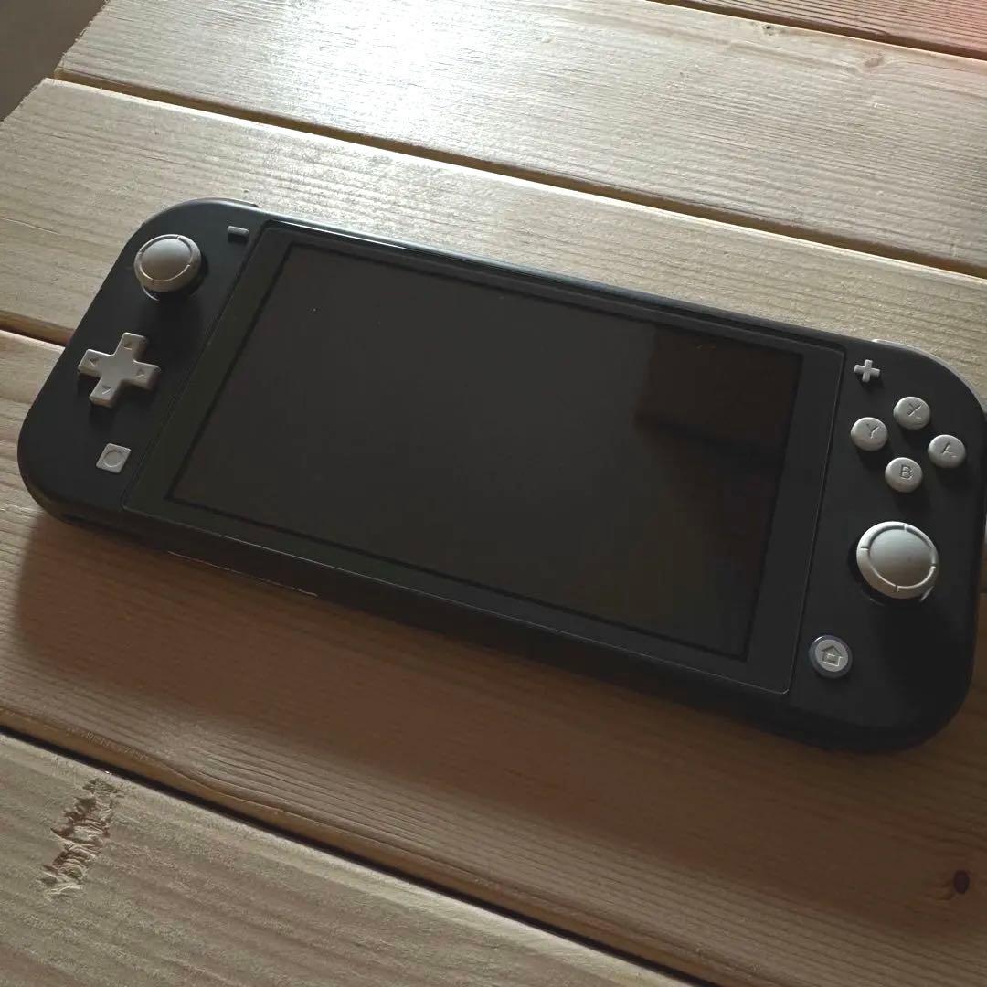 Nintendo Switch Lite グレー本体、アダプタ、ハードケース付き