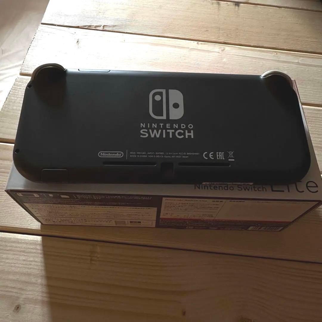 Nintendo Switch Lite グレー本体、アダプタ、ハードケース付き
