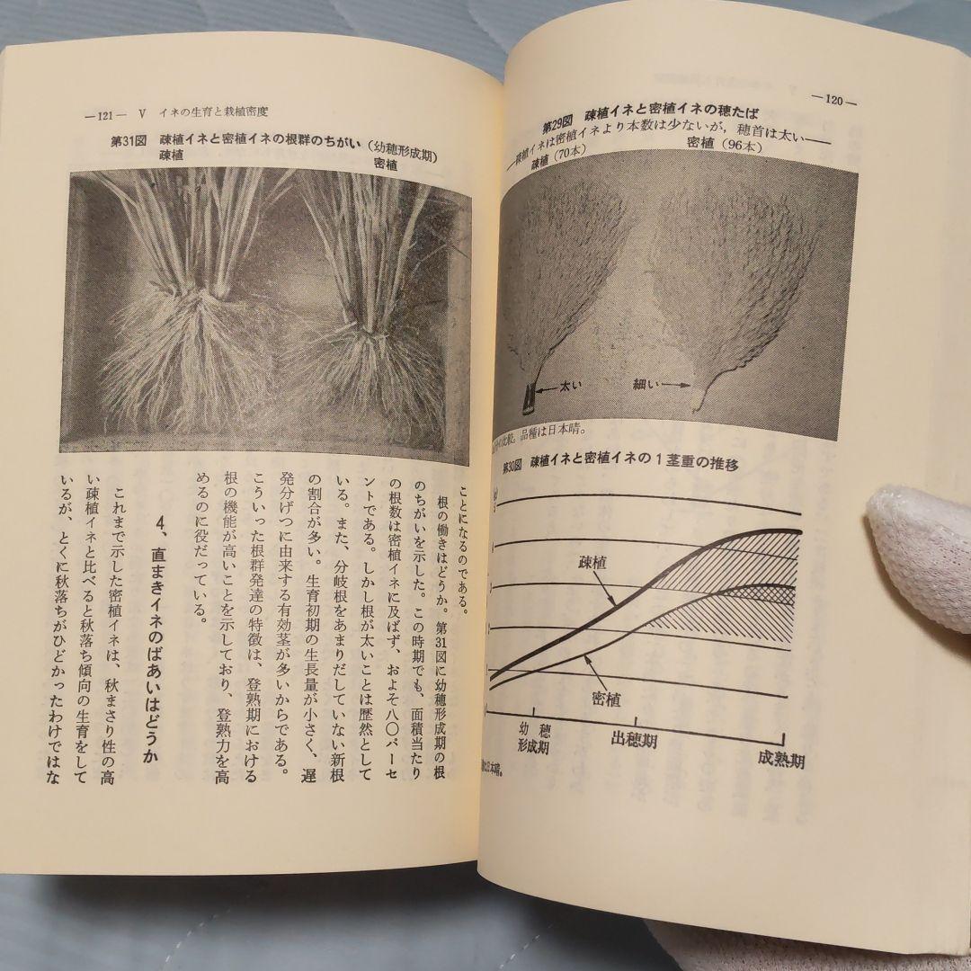イナ作の基本技術