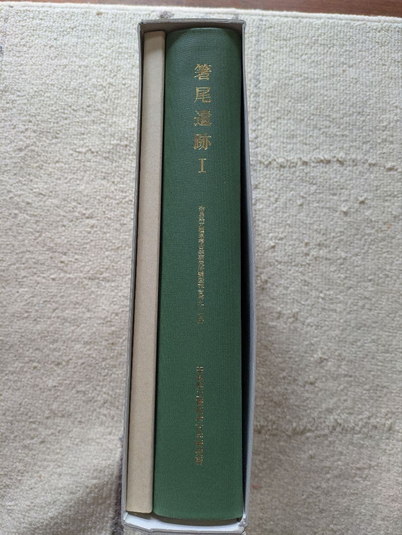 箸尾遺跡Ⅰ
