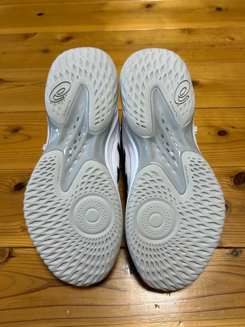 asics GELHOOP V17 バッシュ