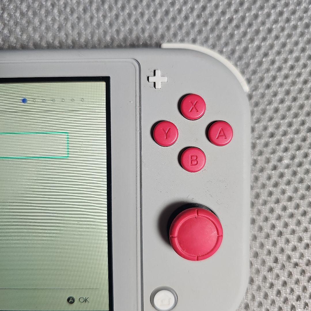 Nintendo Switch Lite ザシアン・ザマゼンタ 本体