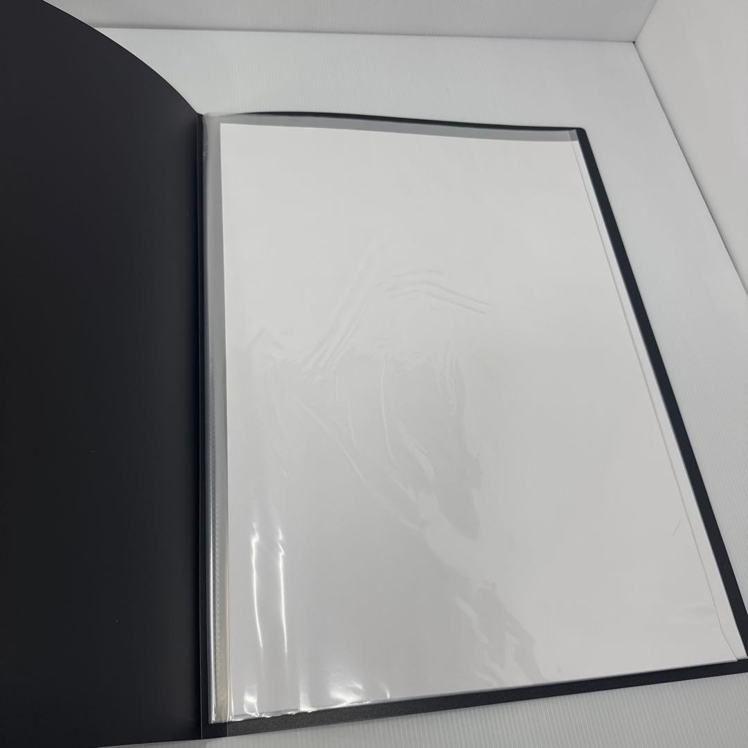 タワーレコード タワレコ ポスター ファイル A2 B2 用 2点セット