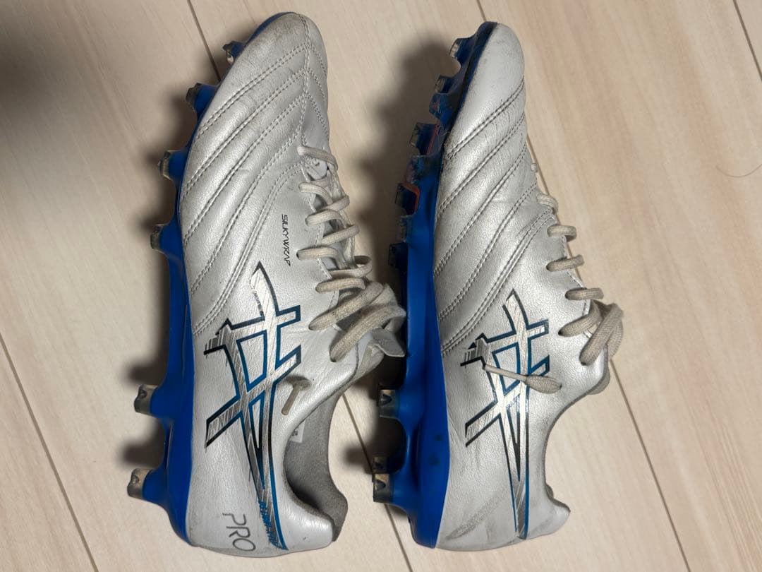 アシックス DS LIGHT X-FLY PRO 3 25cm