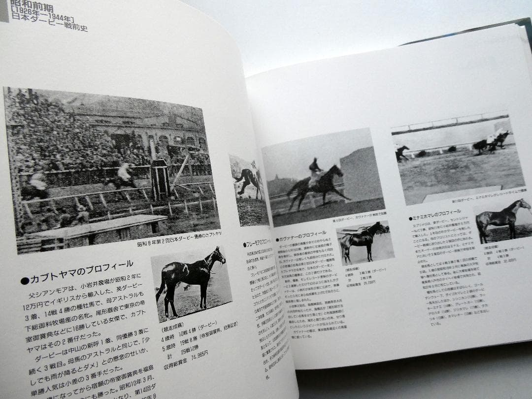 【中古】30years Iwate Keiga 岩手県競馬組合30周年記念誌