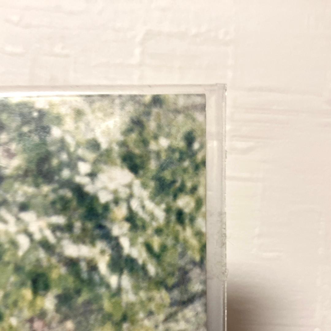 【新品未開封】Fishmans『Long Season』LP/アナログ盤
